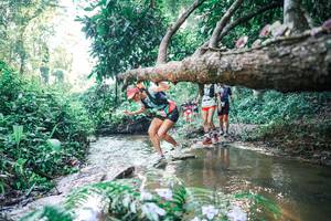 BIB: 
                            <button type="button" onclick="openModal(25434430)" class="btn btn-primary btn-sm float-right btn-popup" data-toggle="modal" data-target=".modal-high-quality">
                        <i class="fas fa-shopping-cart"></i> Add to Cart
                    </button>
                                            <button type="button" onclick="isThisMe(25434430, true)" class="btn btn-success btn-sm float-right btn-popup btn-isme hidden" data-toggle="tooltip" data-placement="bottom" title="นี่คือรูปของคุณใช่ไหม คลิกที่นี่เพื่อเอาเข้าอัลบั้ม">
                        <i class="fas fa-plus"></i> Add to album
                    </button>
                    <button type="button" onclick="isThisMe(25434430, false)" class="btn btn-warning btn-sm float-right btn-popup btn-isnotme hidden">
                        <i class="fas fa-ban"></i> Remove from album
                    </button>